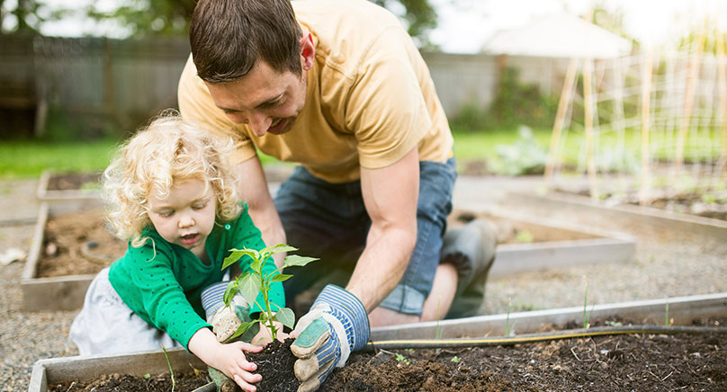 parent helping young child plant flower